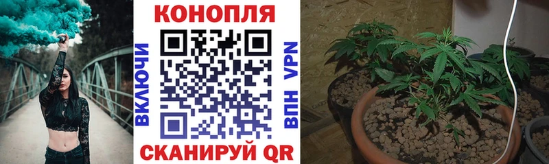 Купить наркотик Олонец Псилоцибиновые грибы  Меф  ГАШ  МДМА  АМФЕТАМИН 