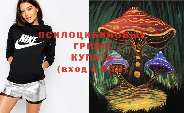 ешки Аркадак