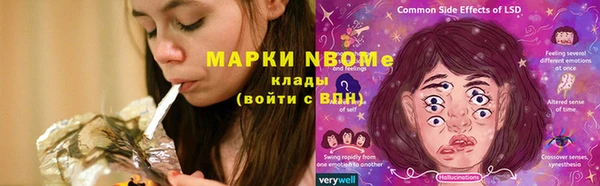 ешки Аркадак