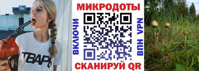 сколько стоит  Олонец  Галлюциногенные грибы прущие грибы 